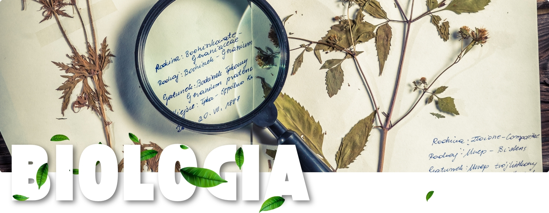 Curiosidades sobre Biologia